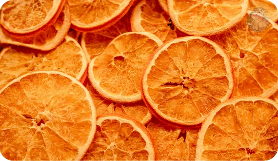 plasterki pomarańczy suszone w suszarce do żywności